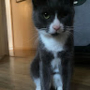 Meet your Posher, Grace